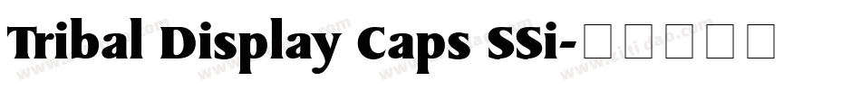 Tribal Display Caps SSi字体转换